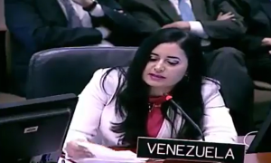 Nos vamos y nunca vamos a regresar: La “amenaza” de la representante de Maduro en la OEA (Video)