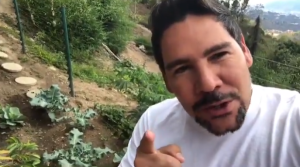 Winston Vallenilla nos enseña las yucas que tiene sembradas… en su huerto bolivariano (VIDEO)