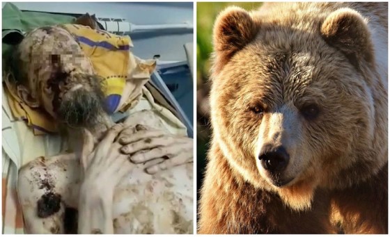La INCREÍBLE historia del hombre que sobrevivió atrapado en la guarida de un oso en Rusia (IMÁGENES FUERTES)