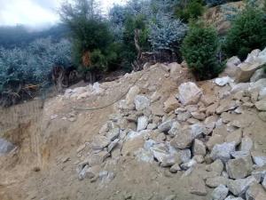 El sensible ecosistema de Galipán es víctima de la devastación chavista (Fotos y Video)