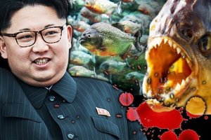 Acusan a Kim Jong-un de lanzar a un general dentro de una pecera con pirañas