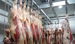 ¿Ya no pedirán más a Venezuela? Ahora Bolivia exportará a Cuba carne de res, pollo y leche en polvo