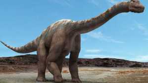 ¡De no creer! La fotografía de un gigantesco hueso de dinosaurio hallado en Francia