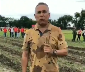 En VIDEO: Pedro Carreño terminó sembrando su yuca (delgadita) junto a unos chavistas armados
