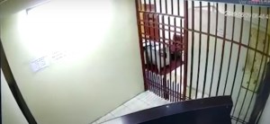 Un ladrón aprovecha su delgadez para escapar de la cárcel (Video)