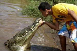 El osado beso que le dio un valiente a un cocodrilo en Costa Rica dejó locos a los turistas (FOTOS)