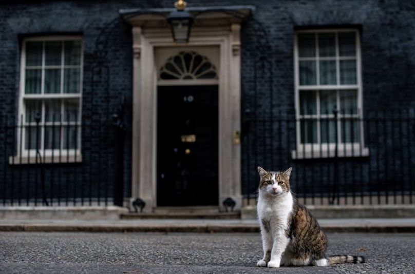 ¿Qué sucederá con el gato Larry cuando Boris Johnson se mude a Downing Street?