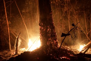 Militares ya combaten los incendios en ocho estados de la Amazonía brasileña