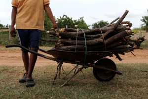 A falta de gas, venezolanos comienzan a talar árboles en parque nacional