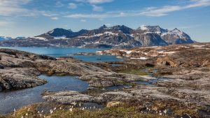 ¿Puede Trump comprar Groenlandia? ¿Cuánto cuesta? Los seis puntos claves de una “posible” negociación