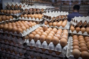 Costo de fletes y escasez de combustible incrementan el costo de los huevos en Táchira