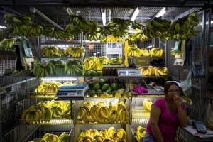 El venezolano necesita al menos 121 salarios mínimos para costear la canasta familiar de alimentos, según Cendas-FVM