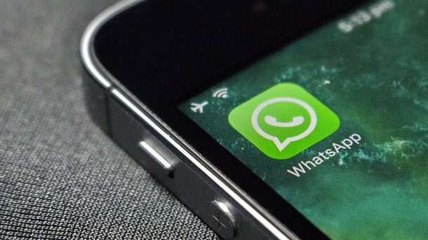 Cómo silenciar a un integrante de un grupo de WhatsApp