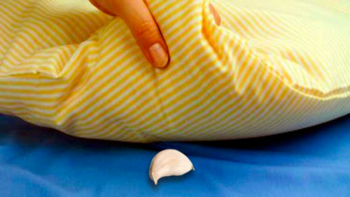 Estos son los beneficios de colocar un diente de ajo bajo la almohada