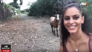 Quería tomarse una selfie delante de una cabra y sucedió algo inesperado (Video)