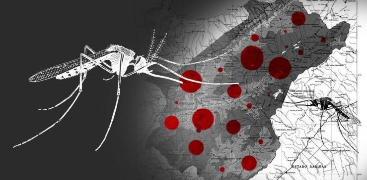 Alerta epidemiológica: Casos de dengue aumentan aceleradamente en Mérida