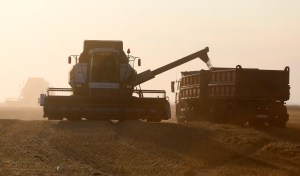 Rusia duplicará suministros de granos a Venezuela