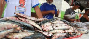 Fritica o en salsa: Guaros buscan la sardina por lo barata