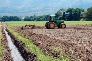 Fedeagro pronostica estancamiento del sector agrícola para el 2020