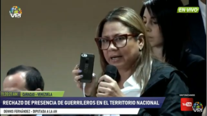 Diputada Dennis Fernández: Debemos emitir un acuerdo en rechazo a los grupos narcoterroristas en nuestro país