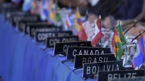 El Consejo Permanente de la OEA debate sobre la situación en Bolivia