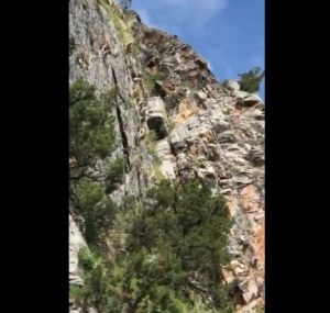 ¡Desafiando la gravedad! Unas cabras descienden un acantilado en el Himalaya (Video)
