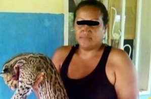 El Cicpc la detuvo por matar a un cunaguaro en Anzoátegui