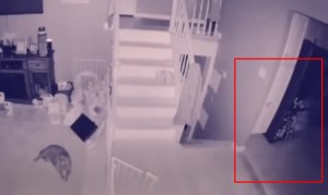 VIRAL: Los fantasmas de un niño y firulais corriendo en una casa asombran al mundo (VIDEO)