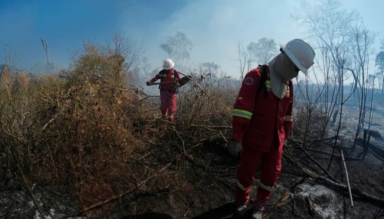 Murieron ahogados tres bomberos voluntarios que combatían los incendios en Bolivia