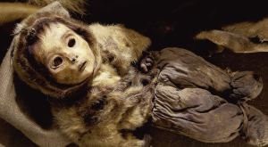 Las momias conservadas de una familia de esquimales que vivió en Groenlandia hace 500 años (Fotos)
