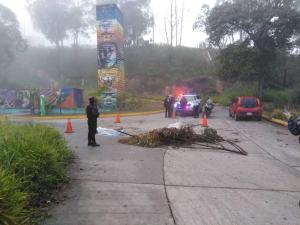 Dos muertos tras estallar granada durante saqueo en Misión Vivienda de la Panamericana #30Sep