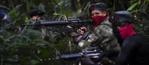 O Globo: La narcoguerrilla colombiana explota oro ilegalmente dentro de Venezuela