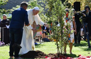 El Papa siembra un árbol en el Vaticano con los indígenas de la Amazonia (Fotos)