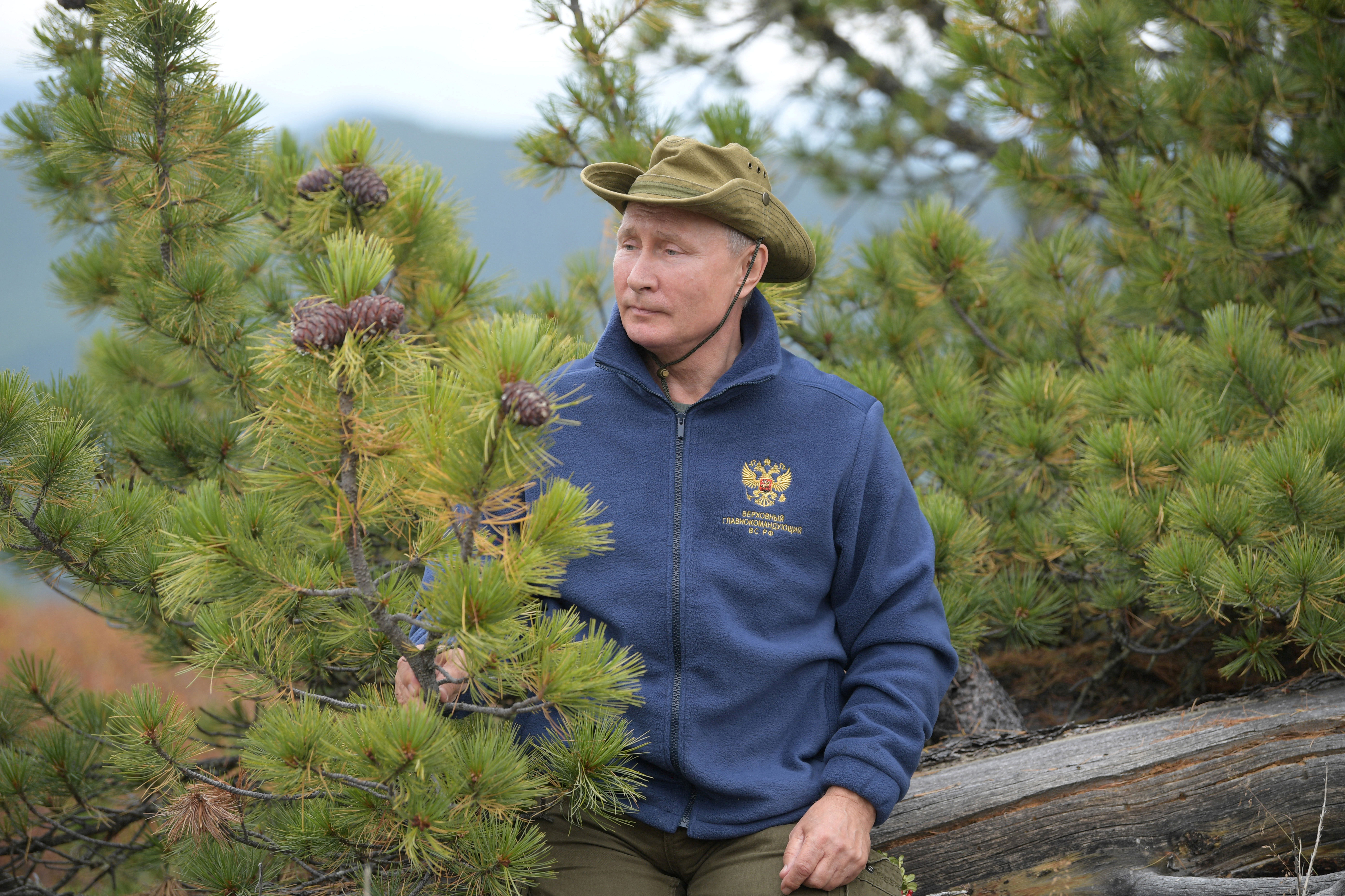 День рождение путиной. Путин Владимир Владимирович. Владимир Путин в тайге Сибири. Путин Владимир Владимирович 2019. Путин Владимир Владимирович в тайге.