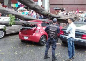 Lluvias en Caracas provocaron que árbol aplastara vehículos frente al Palacio de Justicia (Fotos)