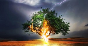 En video: Un árbol arde desde el interior de su tronco tras ser golpeado por un rayo
