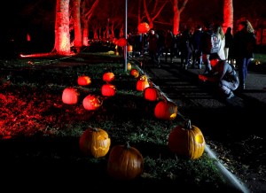EEUU exhortó a evitar un Halloween de “alto riesgo” por la pandemia