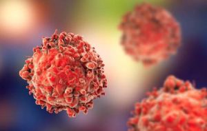 Atacar células troncales cancerosas podría evitar la metátasis, señaló investigación