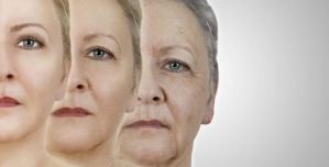 ¿Se puede revertir el envejecimiento? El importante hallazgo de científicos de Harvard