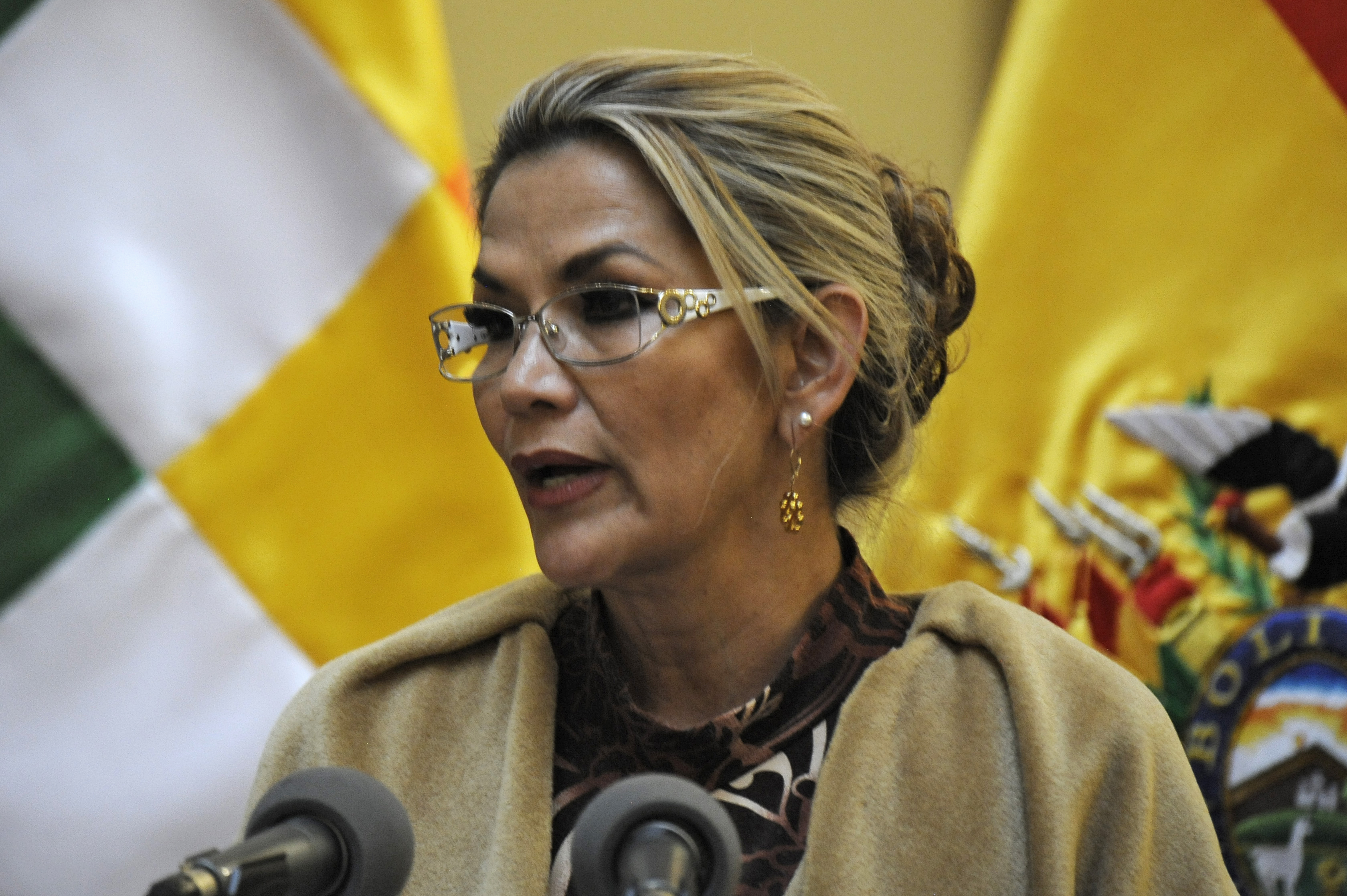 HRW asegura que “no existen evidencias” para detener a la ex presidenta de Bolivia, Jeanine Áñez