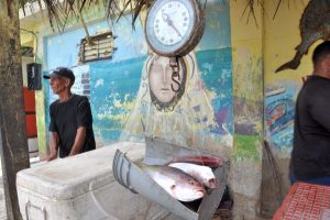En La Guaira el pescado es la mejor opción por sus bajos precios