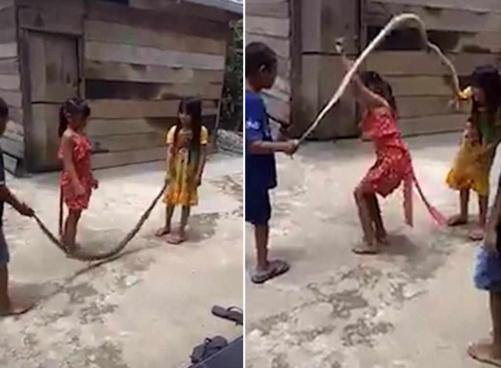 ¡OMG! Niños juegan a saltar la cuerda con una SERPIENTE (VIDEO VIRAL)