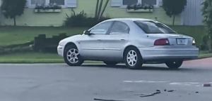 “¡Guau!”: Un perrito manejó un carro en reversa por más de una hora en Florida (Video)