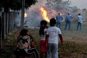 Incendios de dimensiones nunca vistas devoran parte del Pantanal en Brasil