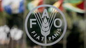 FAO: Ningún país por sí solo podrá garantizar alimentación durante pandemia