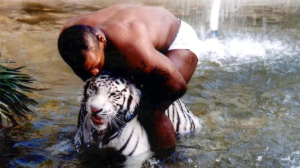 Por esta IMPACTANTE razón Mike Tyson se deshizo del tigre de Bengala que tenía de mascota