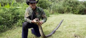 “Alligator Ron” el Cocodrilo Dundee de los pantanos del sur de Florida