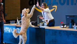 ¡El trabajo soñado! Amazon permite que sus empleados lleven sus mascotas a la oficina (VIDEO)