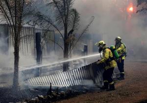Emergencia en Australia por los incendios forestales que se acercan a Sidney (Fotos)