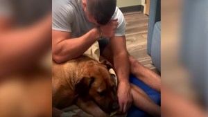 ¡Emotivo! Pelotero de ligas menores llora mientras le da de comer a su perro por última vez (VIDEO)